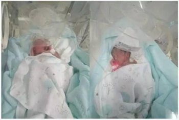 李雪梅